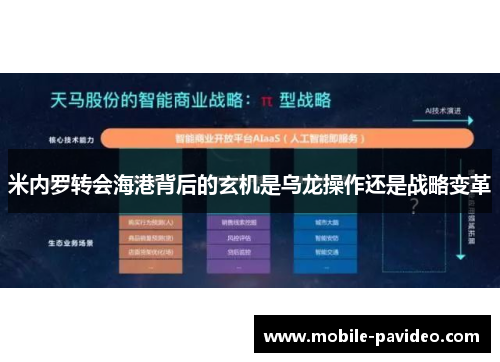 米内罗转会海港背后的玄机是乌龙操作还是战略变革