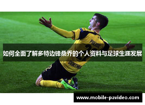 如何全面了解多特边锋桑乔的个人资料与足球生涯发展