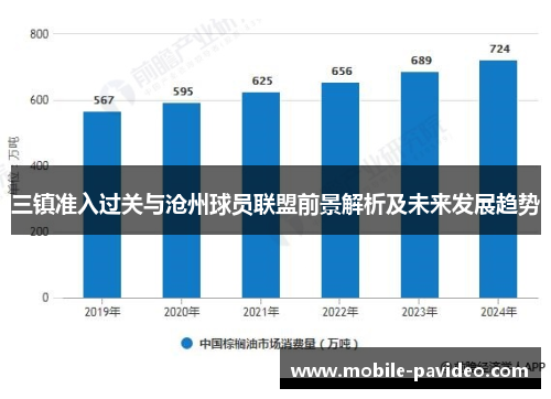 三镇准入过关与沧州球员联盟前景解析及未来发展趋势