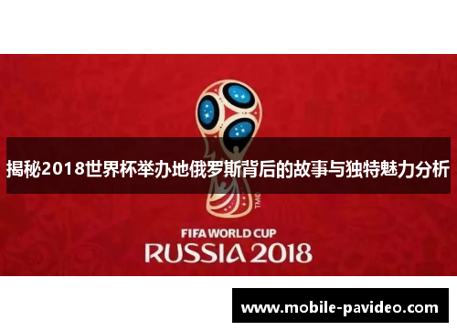 揭秘2018世界杯举办地俄罗斯背后的故事与独特魅力分析