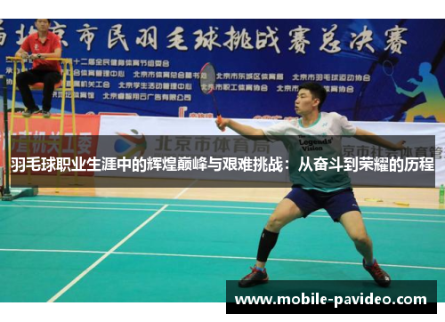 羽毛球职业生涯中的辉煌巅峰与艰难挑战：从奋斗到荣耀的历程