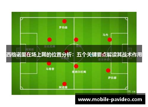 西格诺里在场上踢的位置分析：五个关键要点解读其战术作用