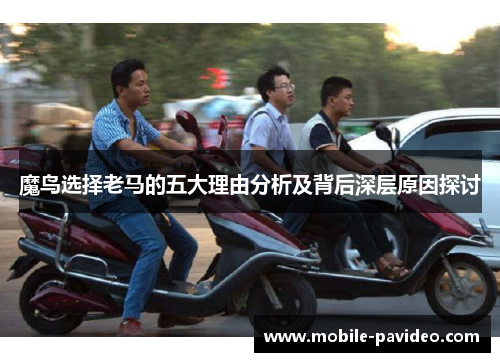 魔鸟选择老马的五大理由分析及背后深层原因探讨 魔鸟选择老马的五大理由分析及背后深层原因探讨