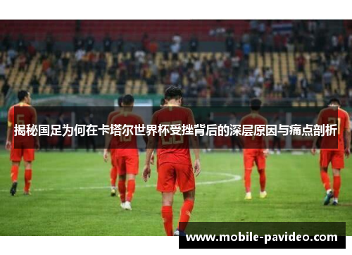 揭秘国足为何在卡塔尔世界杯受挫背后的深层原因与痛点剖析