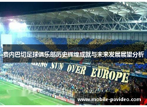 费内巴切足球俱乐部历史辉煌成就与未来发展展望分析 费内巴切足球俱乐部历史辉煌成就与未来发展展望分析