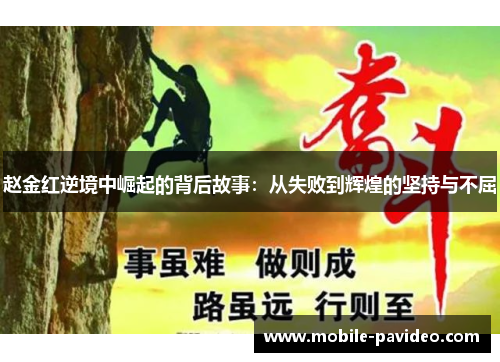 赵金红逆境中崛起的背后故事：从失败到辉煌的坚持与不屈