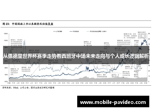 从佩德里世界杯赛季走势看西班牙中场未来走向与个人成长逻辑解析 从佩德里世界杯赛季走势看西班牙中场未来走向与个人成长逻辑解析